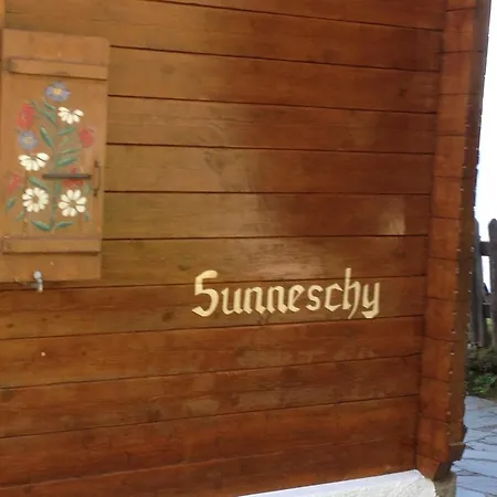 Sunneschy 1- Og Sued Appartement-fewo- Dusche- Wc 3 Zimmerwohnung- 6-betten By Interhome